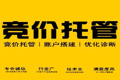 竞价推广中的数据监控与策略调整——一则成功案例